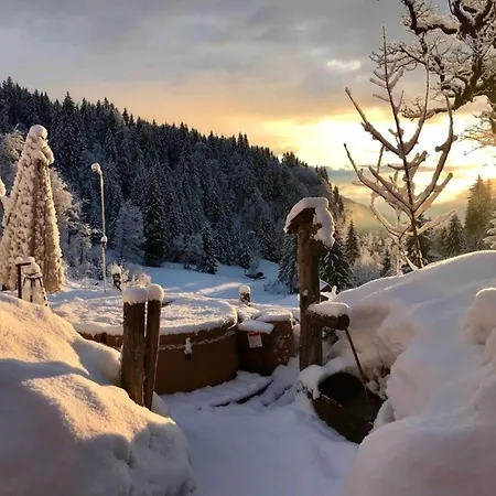 Feriehus Loimoarhuette Bischofshofen